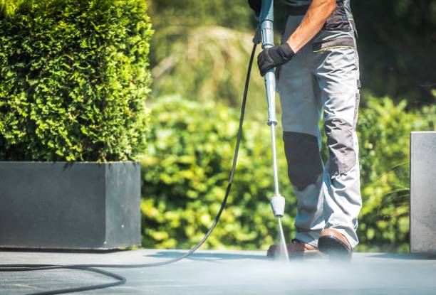 Best Dumpster Area Cleaning  in Harpersville, AL