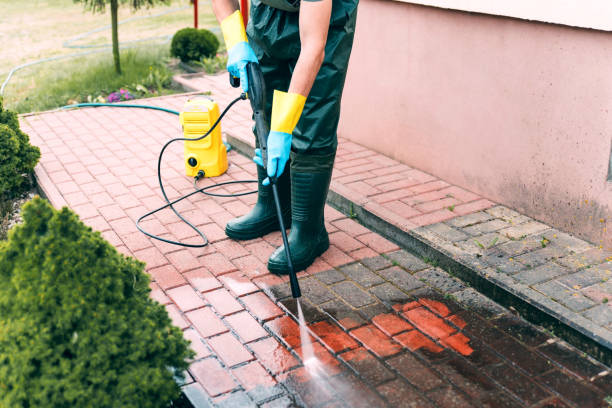 Best Solar Panel Cleaning  in Harpersville, AL